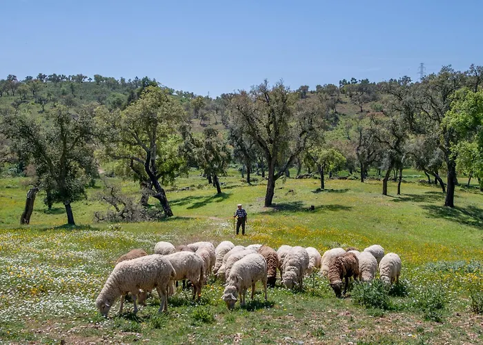 Casa Do Poco 度假居 楼尔
