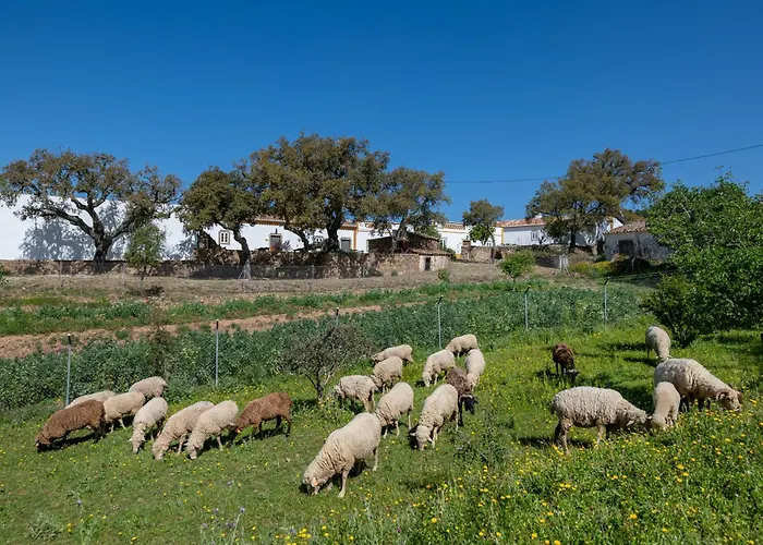 Casa Do Poco 度假居