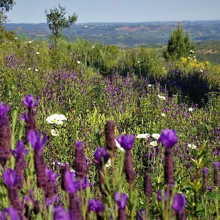 Casa vacanze Casa Do Poco