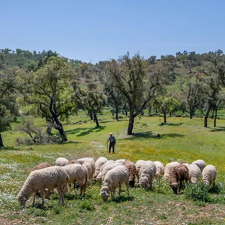 Casa Do Poco Prázdninový dům Loulé