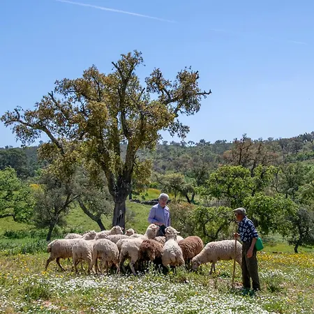 Prázdninový dům Casa Do Poco Loulé