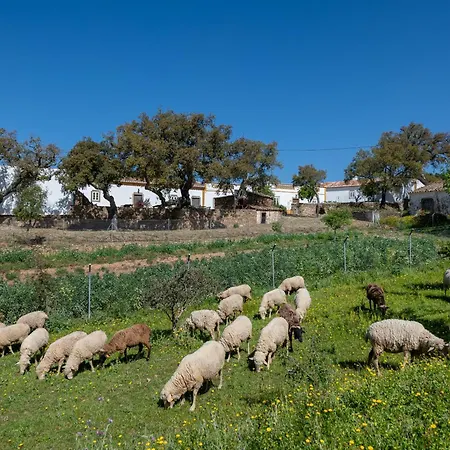 Casa Do Poco Casa vacanze