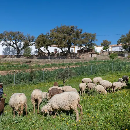 Casa Do Poco Prázdninový dům *
