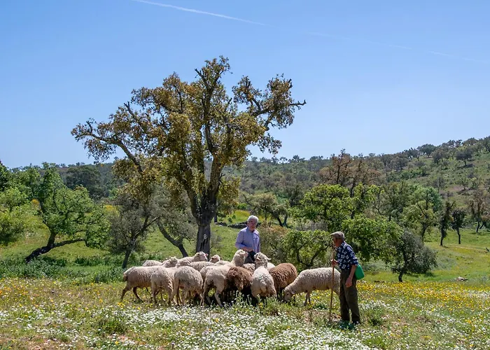 בית נופש Casa Do Poco לואה