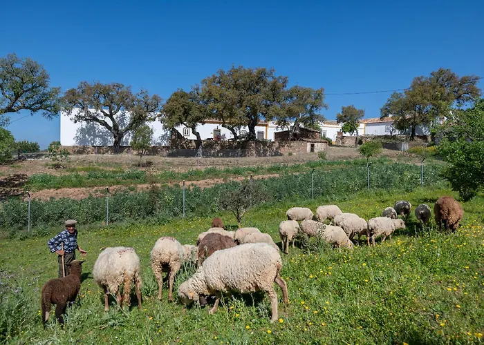Casa Do Poco Semesterbostad *